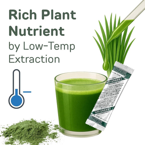 Green juice in a glass with a packet and plant elements, labeled 'Rich Plant Nutrient by Low-Temp Extraction'.